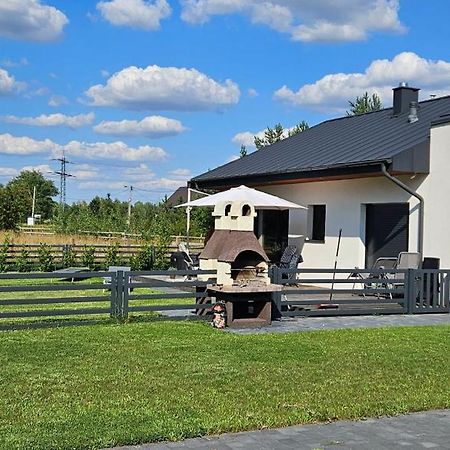 Wake Domek Blue House Januszkowice Januszkowice  Eksteriør bilde